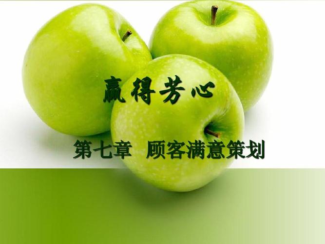 营销策划 赢得芳心 第七章 顾客满意策划